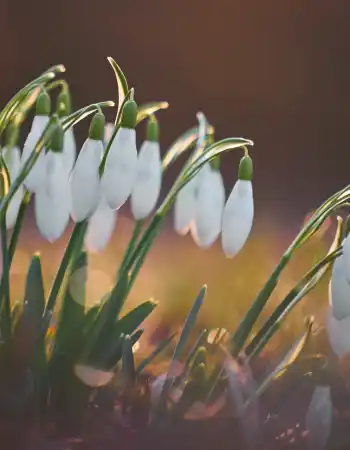 bruno-kelzer-rhod8LQEeic-unsplash