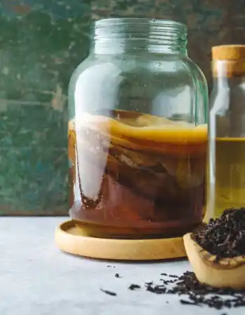 kombucha_-1170x781