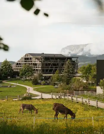 HotelPfoesl