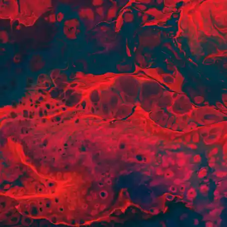 cassi-josh-lhnOvu72BM8-unsplash