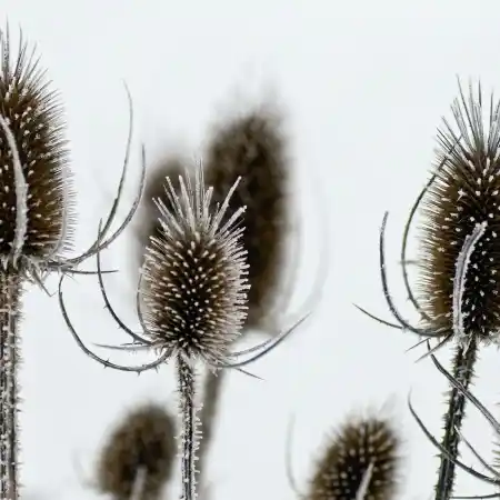 scott-webb-caaVPzJhvYY-unsplash