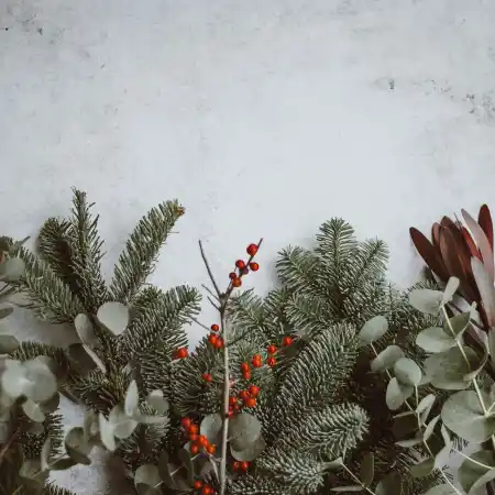 annie-spratt-QKo-op_gR9I-unsplash