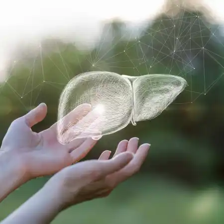 shutterstock_1776107249