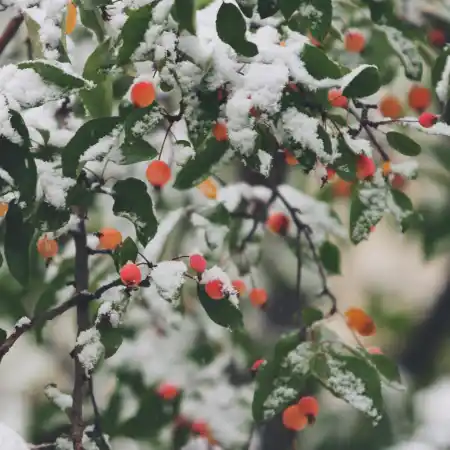 john-price-UdgvzNom0Xs-unsplash
