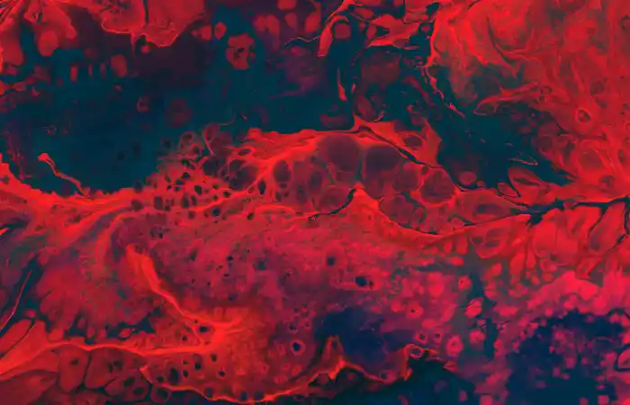 cassi-josh-lhnOvu72BM8-unsplash