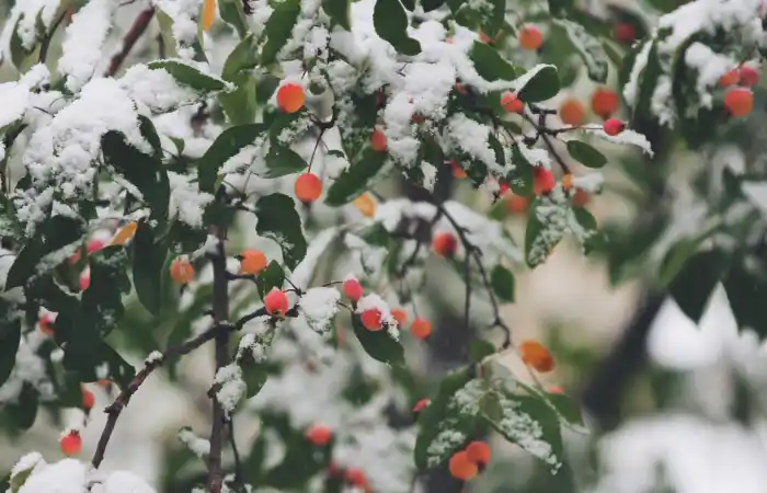 john-price-UdgvzNom0Xs-unsplash