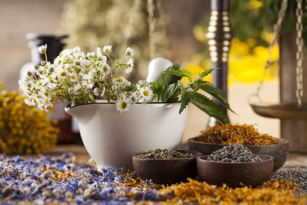 Naturopathy