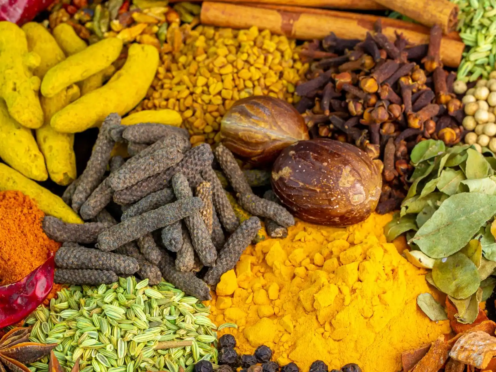 spices-for-ayurveda-16382046254x3