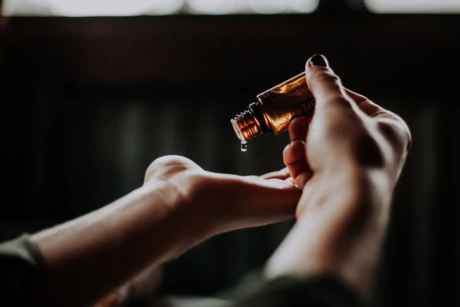Růže stolistá proti nachlazení, viróze, ale i depresi a smutku
