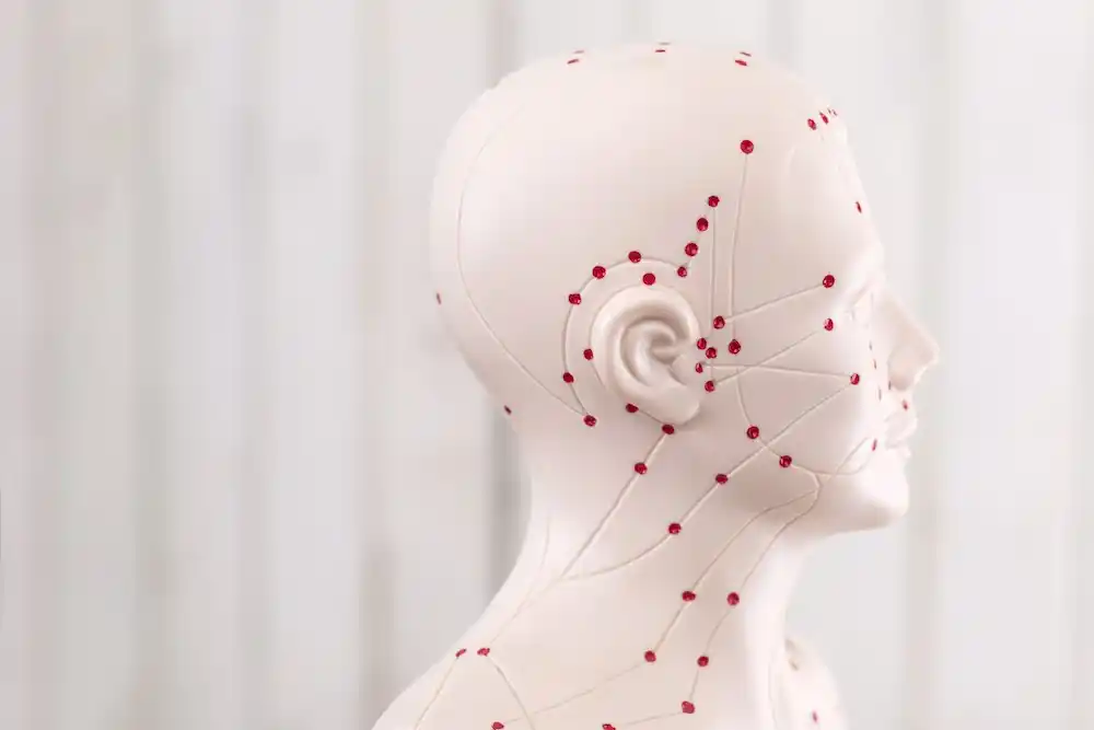 Traditionelle chinesische Medizin als Weg zur Gesundheit Traditionelle chinesische Medizin als Weg zur Gesundheit