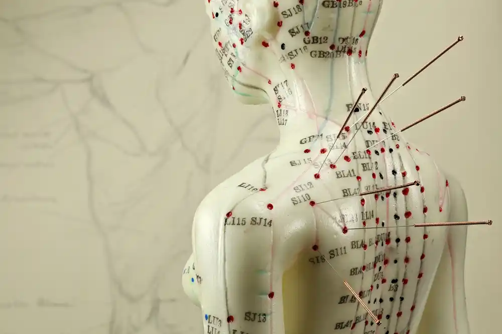 Gustáv Solár: Hluboké kořeny a široké souvislosti akupunktury